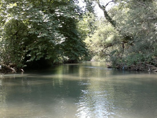 GREEN RIVER MUSIC @ ΛΑΔΩΝΑΣ