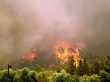 Τρία πύρινα μέτωπα στην Κερατέα