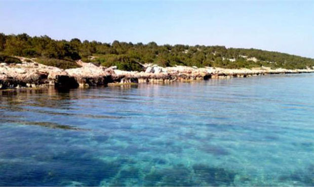 Το νησί Αγιος Θωμάς στον κόλπο της Αίγινας αγόρασαν οι Γουόρεν Μπάφετ και Αλεσάντρο Πρότο