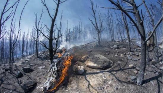 Δυο άτομα συνελήφθησαν για την πυρκαγιά στον Υμηττό