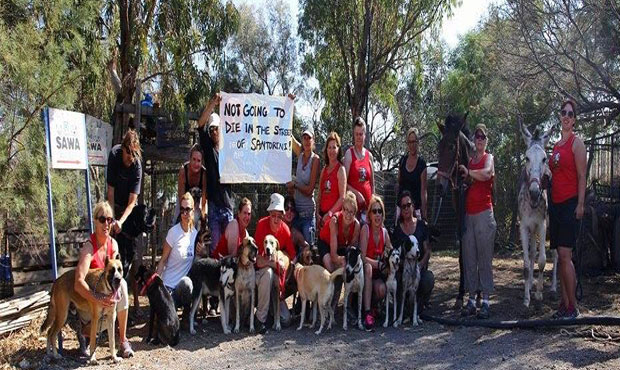 Ο Δήμος βγάζει στο δρόμο τα αδέσποτα του Καταφυγίου της Σαντορίνης